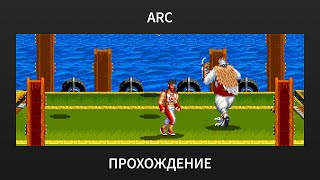 [ARC] New Zero Team - Ace Playthrough