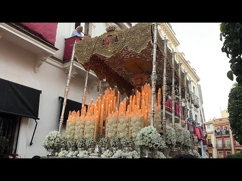 Fervorosa Hermandad y Cofradía de Nazarenos de Nuestro Padre Jesús de la Salud y Buen Viaje, María Santísima Madre de los Desamparados, San Juan de Ribera y Protomártir San Esteban