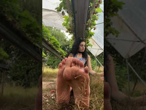 Soles and toes eating strawberries on strawberry farm 🦶🏼🍓