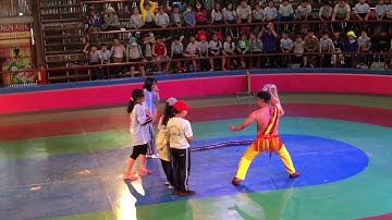 Xiếc Trăn - circus python Xiếc nghệ thuật với con trăng dài 3 mét Xiếc trăn khổng lồ