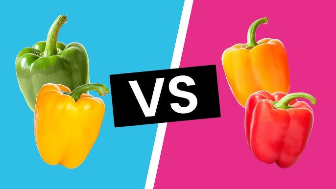 Are bell peppers good for you? Red vs. green nutrition benefits.