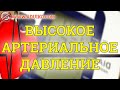 Высокое артериальное давление   С чем связано  Севеты и профилактика