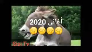 أغاني 2020 لموت ديال ضحك 😂😂😂😂😂