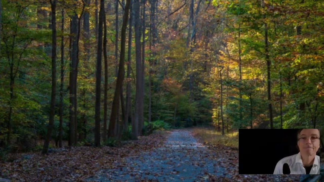 Как скользить по волнам неопределенности. Часть 2: Развитие устойчивости. С Джонатаном Фостом