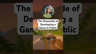 The Tradeoff of Building a Game in Public