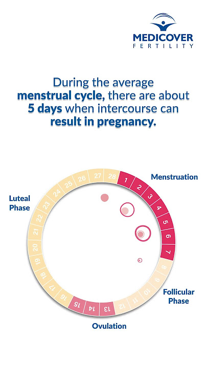 Secrets of Your Fertile Period and Monitoring Your Menstrual Cycle