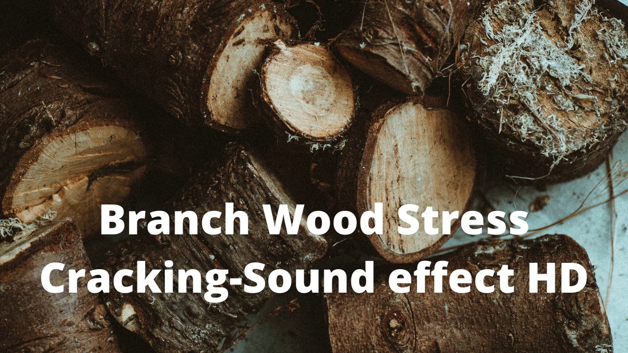 Branch Wood Stress Cracking Sound effect HD YouTube
