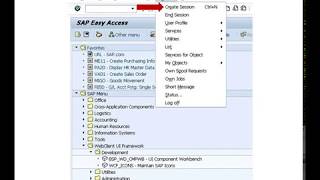 SAP Multiple Sessions | SAPNotes