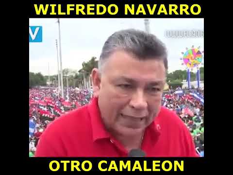 tv kanalları Wilfredo 