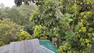 3 minutes rain and Thunder Sound MP3 free download