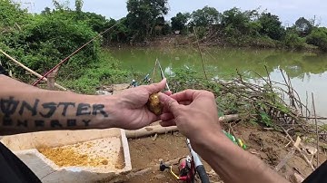 Câu lancer sông sau lũ va toàn hàng khủng 