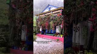 Hamro Tirw Tah Aasina Aayo Haii 🌨️❄️ #dailyvlog