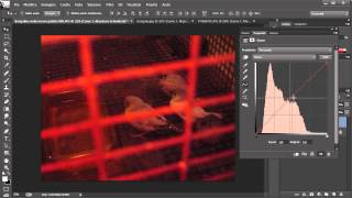 Tutorial Photoshop #240 - Tutto sulle curve, correzione dominante colore