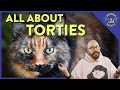 What is tortitude  cat daddy dictionary