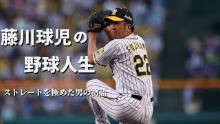 【魔球が生まれたとき】ストレートを極めた男の物語 ー藤川球児の野球人生ー