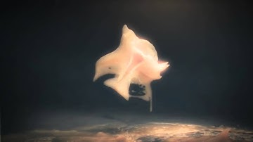 Nokta - Sound Design