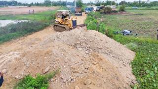 Awesome Start! LAND Fill Up Processing Using Dump Trucks &amp; Dozer D58E Komatsu Push soil Flooded Land