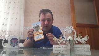 Ameraucana Club Neden Burda