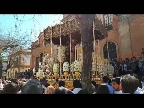 Real, Ilustre y Fervorosa Hermandad Sacramental de la Pura y Limpia Concepción de la Santísima Virgen María, Ánimas Benditas del Purgatorio y Cofradía de Nazarenos del Santísimo Cristo de la Salud, María Santísima del Refugio, Santa Cruz, Nuestra Señora del Patrocinio, Santa Bárbara y San Bernardo