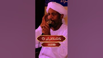 شيخ الزين محمد احمد ايات من سورة لقمان