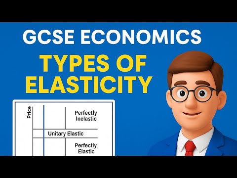 Mastering Elasticity: A Fun Guide | GCSE Economics made easy!