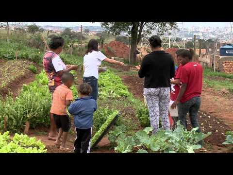 Vídeo: Voluntários de Hortas Comunitárias: Como Organizar Voluntários para Hortas Comunitárias