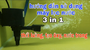 HƯỚNG DẪN SỬ DỤNG MÁY LỌC HỒ CÁ KIỂNG@CakiengVn