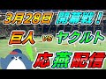 祝!開幕!!【読売ジャイアンツ × ヤクルトスワローズ】2025.3.28 応燕配信 ヤクルトライブ @ 東京ドーム