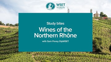 Study bites: wines of the Northern Rhône (WSET Level 3 wine)
