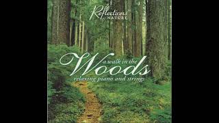 Reflections of Nature - A Walk in the Woods
