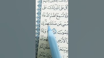 فتوكل على الله #القرآن_الكريم #تلاوة_هادئة