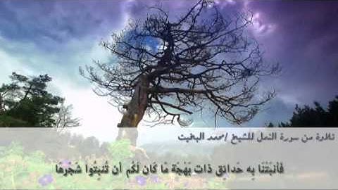 تلاوة حجازية من سورة النمل للشيخ محمد البخيت