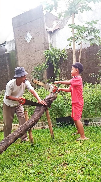 Gergaji Mesin Seperti Gayanya Tetangga