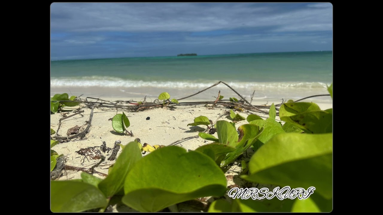 Frank 'Bokonggo' Pangelinan - Gi Lina'lå-Hu