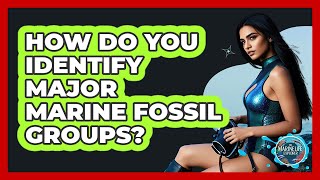 How Do You Identify Major Marine Fossil Groups? - The Marine Life Explorer