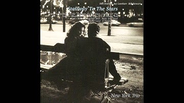 NEW YORK TRIO - CAN'T HELP LOVING DAT MAN