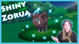 DexNav Shiny Hunting - Zorua! [Twitch Highlight]