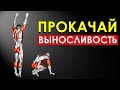 Как Тренировать Выносливость? Лучшие Упражнения для Развития Выносливости