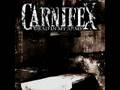 Carnifex - Dead In My Arms