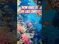 Multicellular Life: How Rare Are Civilizations? #shorts