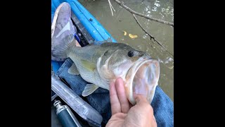 Eagle Mountain Lake Day