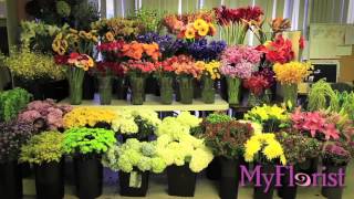 MyFlorist: Delivering Flowers in the DC Metro Areas