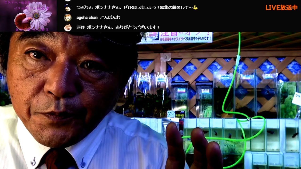 アビスリウム 魚 写真撮影 アビスリウム 魚 写真撮影