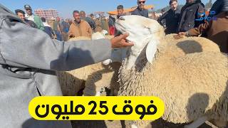 سطيف سوق الماشية ، كباش فوق 25 مليون سنتيم