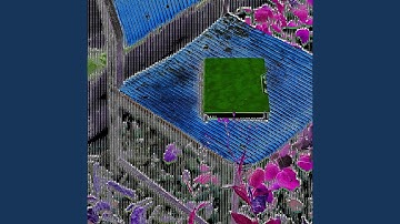 Biomechanical Customer Journey