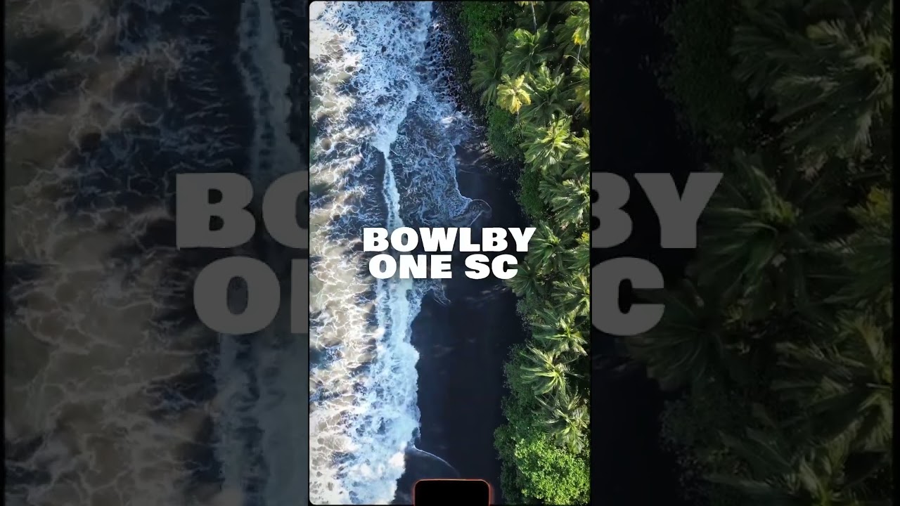 Top 5 Free Fonts for Creators | Best Free Fonts for Design in 2024!"