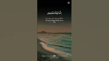 اسف على التاخير ساغيب نصف اسبوع فيديو اخير قران كريم 