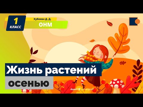 Жизнь растений осенью. Окружающий нас мир