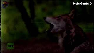 Fragmento de La Lista de Erick en Ágape TV Canal 8 - 03/06/26