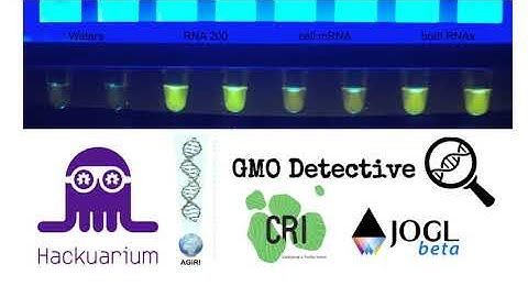 CoronaDetectiveTeaserHiRes